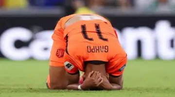 موقف ليفربول النهائي من رحيل كودي جاكبو إلى صفوف توتنهام الإنجليزي